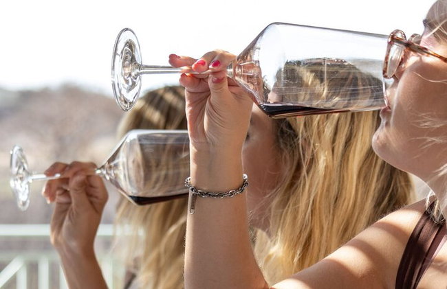 Degustación de vinos en Rodas, dentro de los viñedos con el productor. - Foto 2