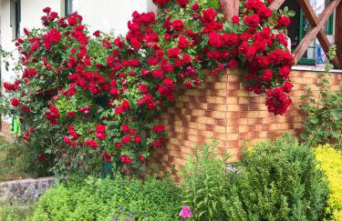 Siedlisko Lubie - Foto 3