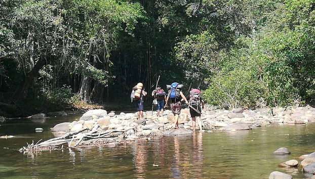 Balade au milieu de la jungle