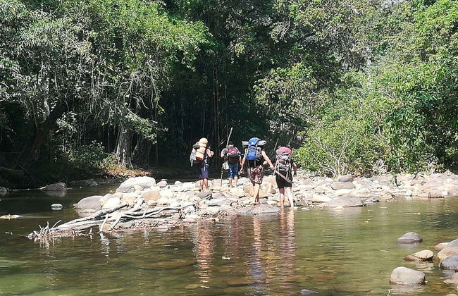 Trilha e noite na floresta amazônica - Foto 3