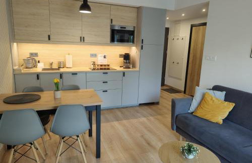 Karkonoska Miejscówka Apartament Szklarska Poręba Centrum Park - Foto 9