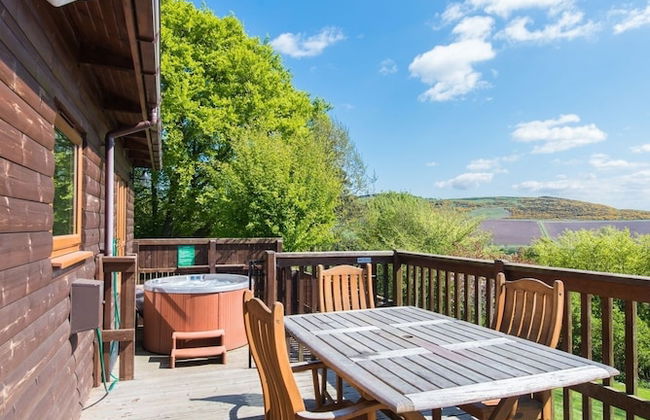 Mountain Ash Lodge - Photo 9