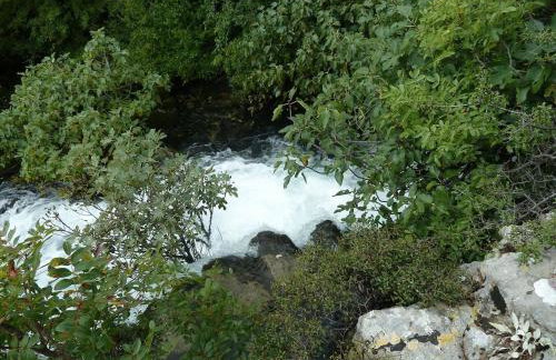 Kiwi apartments - Photo 66