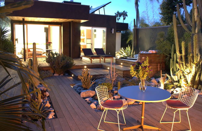 Cactus Flower - Foto 26