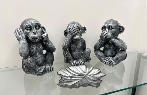 Niva holiday house - Foto 20