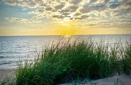The Sharlene-Hot tub Fenced yard Steps to Douglas - Foto 39
