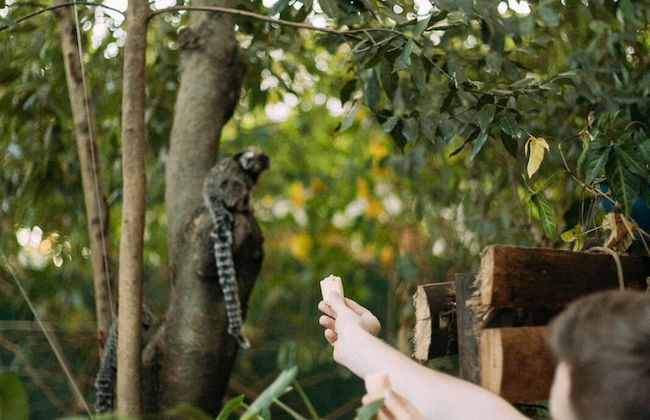 Chalés Magia do Campeche - Photo 75