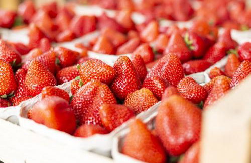 Hofquartier - Foto 15