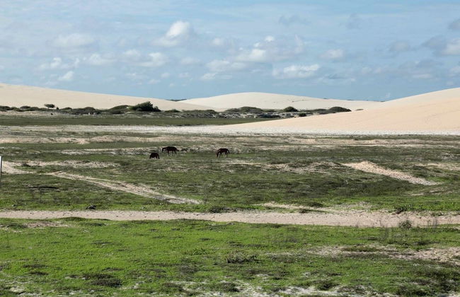 Villa Majica - Photo 19