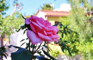 Residence Rendez Vous - Foto 25