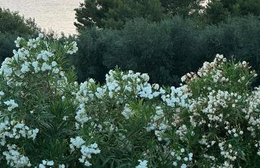 Villa Naturaleza - Foto 18