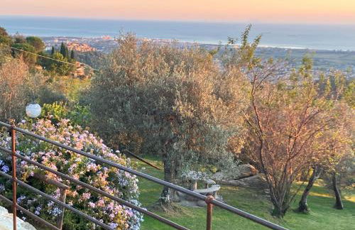 A CASA DI OLIVO - Foto 30