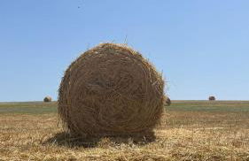 Agriturismo La Locandiera - Foto 42