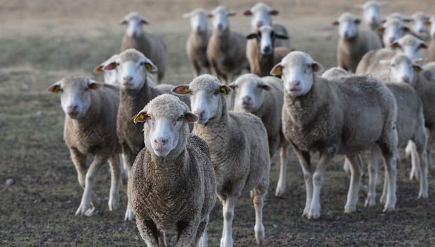 Tour in Cáceres - Photo 5