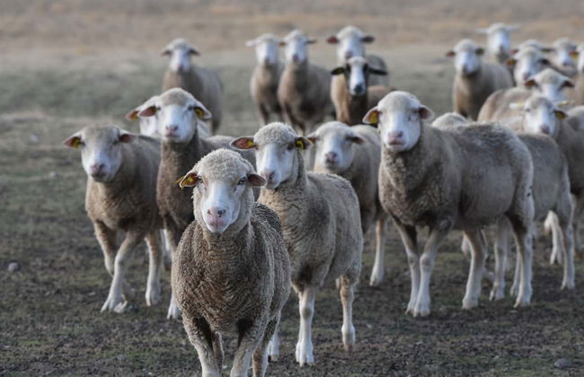 Tour in Cáceres - Photo 5