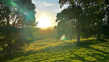 Ballimore Farm Estate - House with heated pool - Foto 4, Garden view