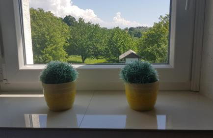 Apartman Duba - Foto 35