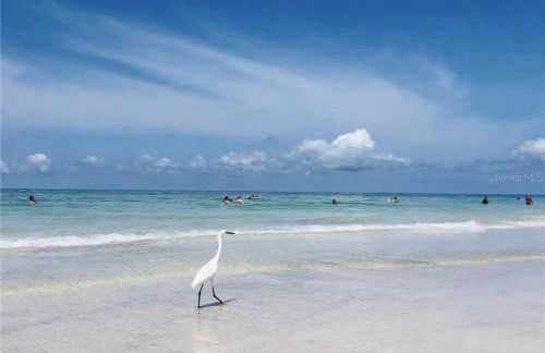 AMI/Holmes Beach - 3/2 Home - Private Heated Pool and Yard - walk to beach - Photo 29