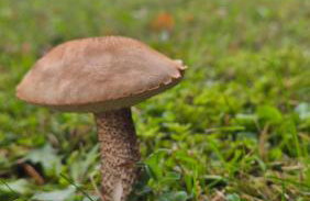 Resetówka - w dzień wyjazdu zostań do wieczora - Foto 37