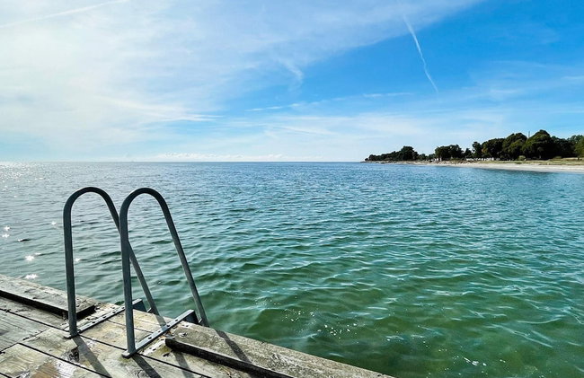 5 Star Holiday Home in Ahus - Foto 5