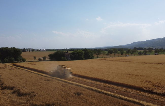 Tigli Apartment With two Bedrooms and one Bathroom on the Second Floor With 4 Metre Glass Window Apartment 6 - Photo 37