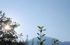 Appartment Lodged Mamma Maria - Foto 27