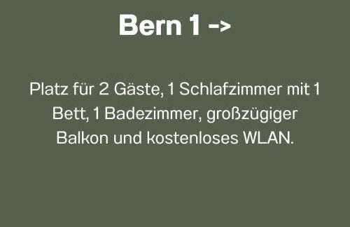 Ferienwohnungen Bernsdorfer Straße Chemnitz - zentrumsnah, teilweise mit Balkon oder Terrasse, große Parkanlage - ideal für Familien, Paare und Geschäftsleute - Foto 8