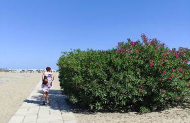 Mipro mobilhome 6 - Foto 45