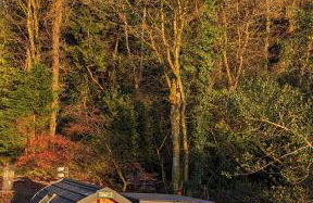 Beach House Pods - Foto 9