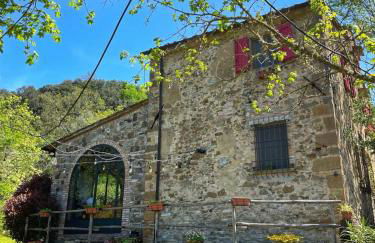 Casa nel bosco il Grottone - Foto 21