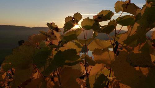 Main(schlaf)erlebnis - Foto 3