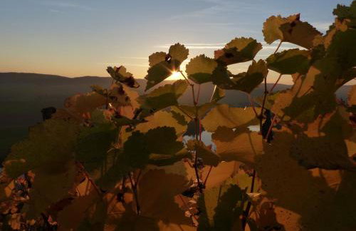 Main(schlaf)erlebnis - Foto 3