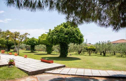 Olivemare Holidays - Foto 4