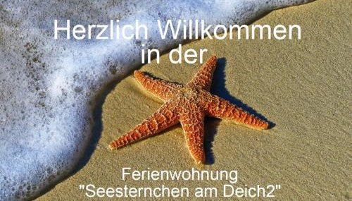 Ferienwohnung Seesternchen am Deich2 C46 - Foto 3