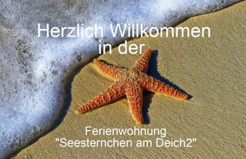 Ferienwohnung Seesternchen am Deich2 C46 - Foto 3