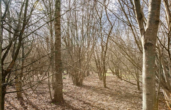 Stunning Character 2bed Cottage in St Albans Wifi - Foto 23