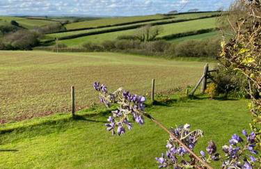 Secluded Escape near Salcombe - Newhouse Barn. - Foto 4