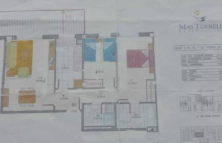 rosa sensat - Foto 13