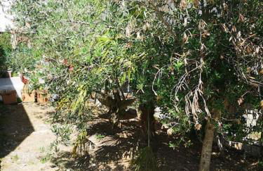 JO2024-25min to stade de France - Foto 40