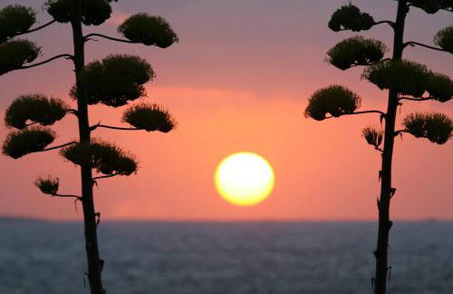 Near The Sea - Foto 56