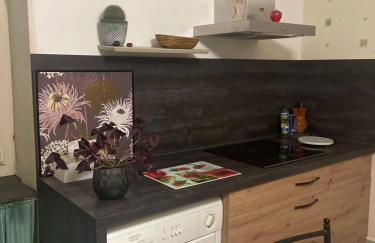 Gîte Chanay 80 m2 Tournus 2 chambres - Foto 13