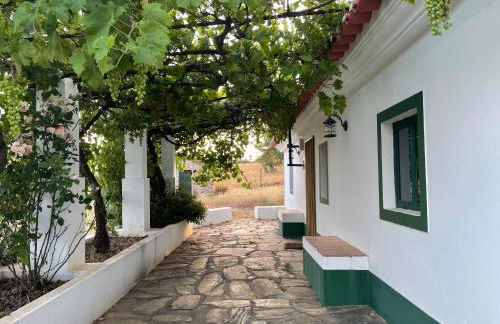 Tapada da Figueira by NaturAlegre - Foto 25