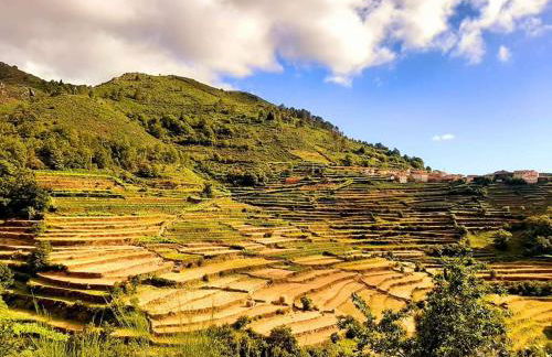 Casa da Fichua - Foto 38
