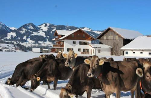 Hemerhof - Ferienwohnungen - Foto 22