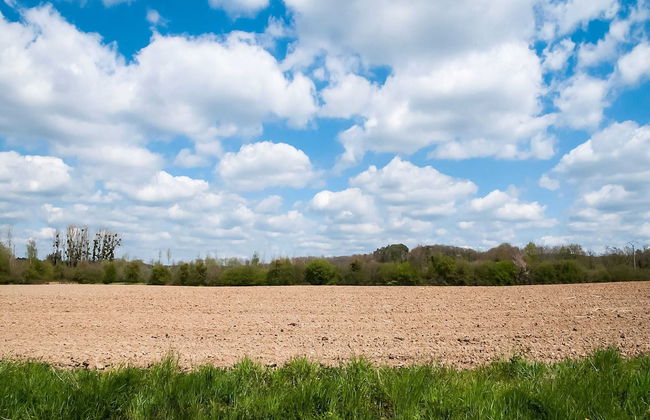 Holiday Home in Biron With Barrel Sauna - Photo 38