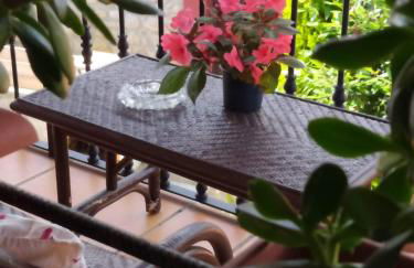 LA GRANDA DE LA CONCHA - Foto 6