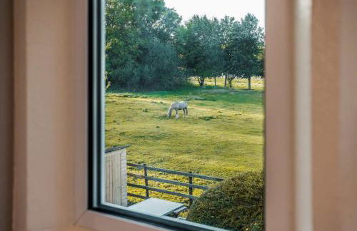 Gardeners Cottage - Hot Tub Packages Available - Foto 26