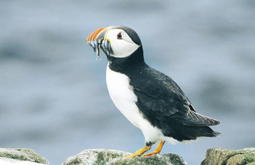 2 Bed in Cardigan oc-26677 - Foto 12