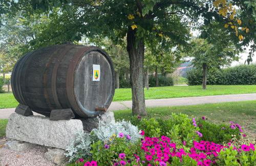 Gite premium, au Cœur de l'Ours - Foto 54