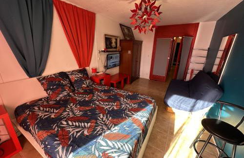 Meublé Les Dômes du Parc 6ème - Foto 11